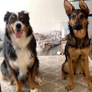 Meet your Posher, Hunter